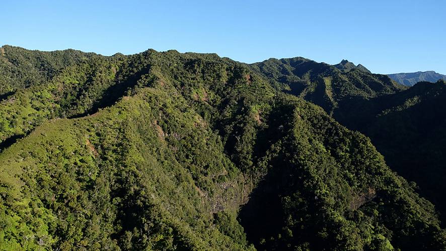 52-over kauai-29